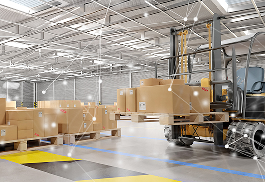 77779193��������