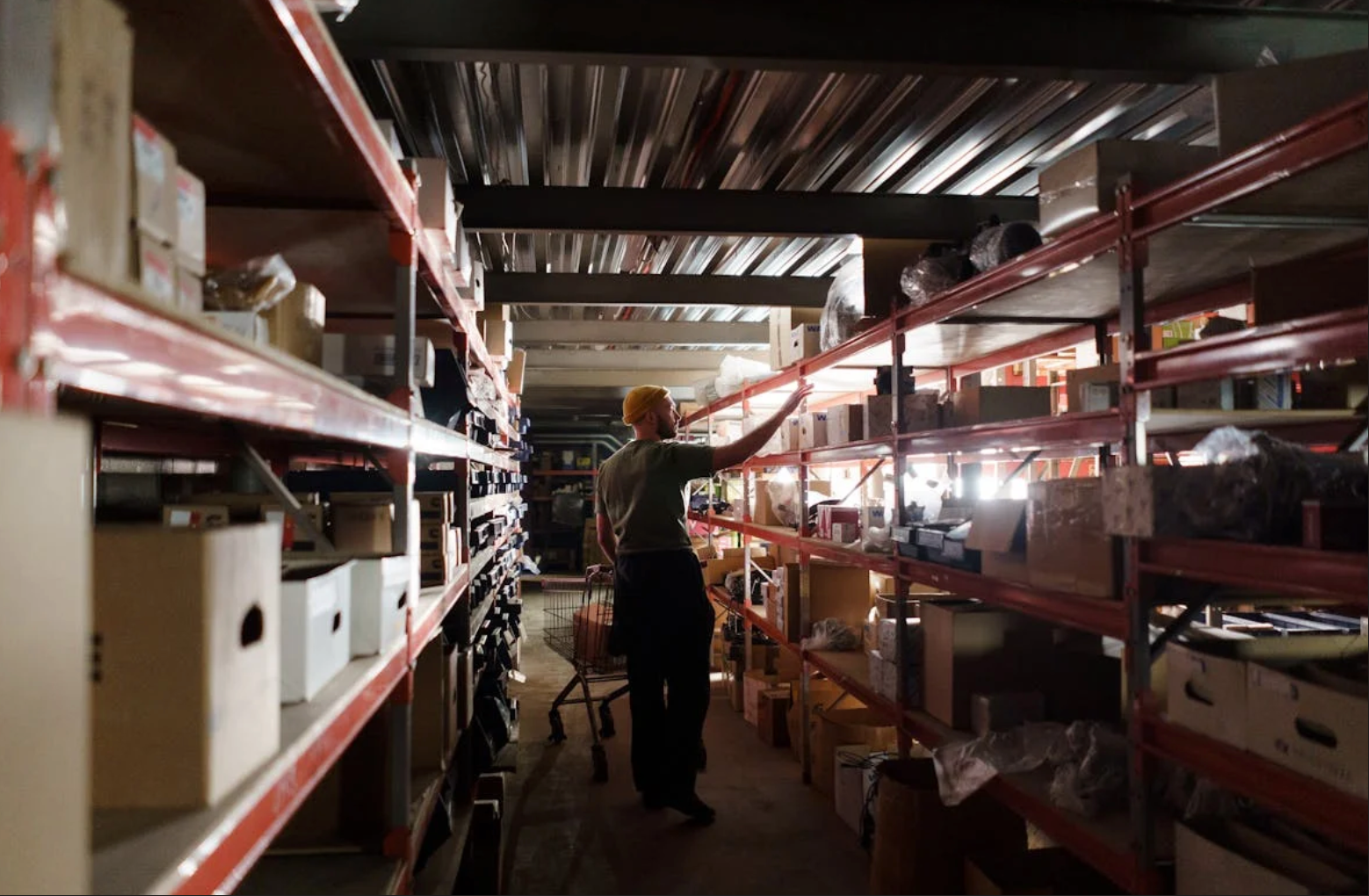 65D48C7B-69C3-458F-9C1E-652D53CD27C3